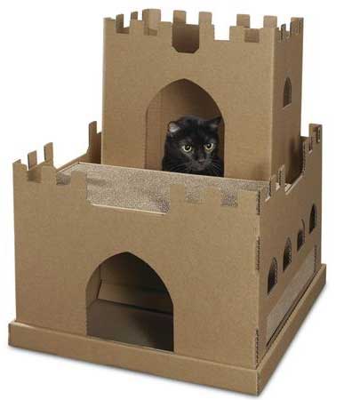Cat Castle of Moving Boxes