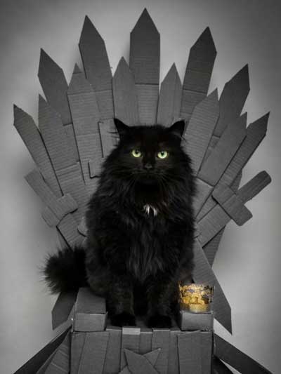 Cat Royal Throne