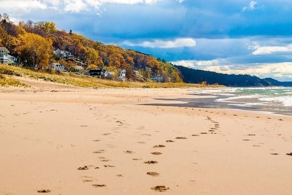 a beach with footsteps in the sand and trees on the hillside