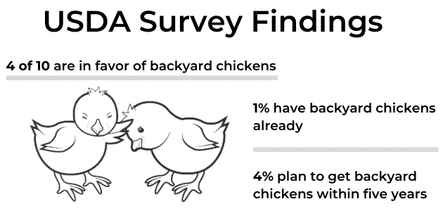 Two baby chickens and text that summarizes USDA data about households that have backyard chickens