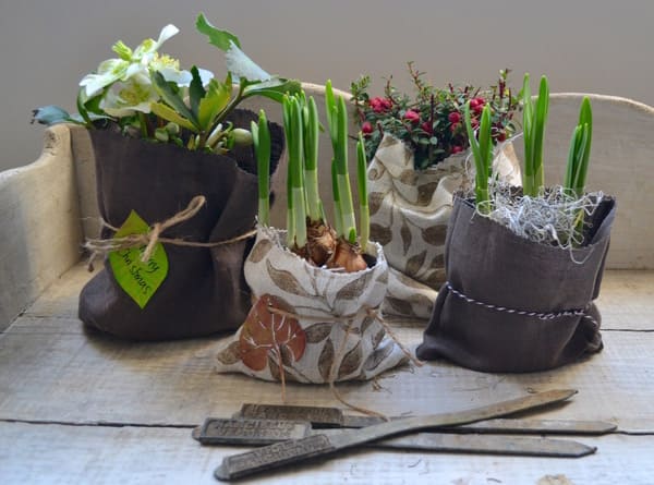 Four small plants are planted in creative bags