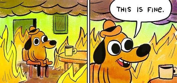 a cartoon of a dog sitting in a home that is on fire saying 'this is fine'