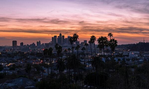 a far off view of palm trees and the los angeles skyline at dusk